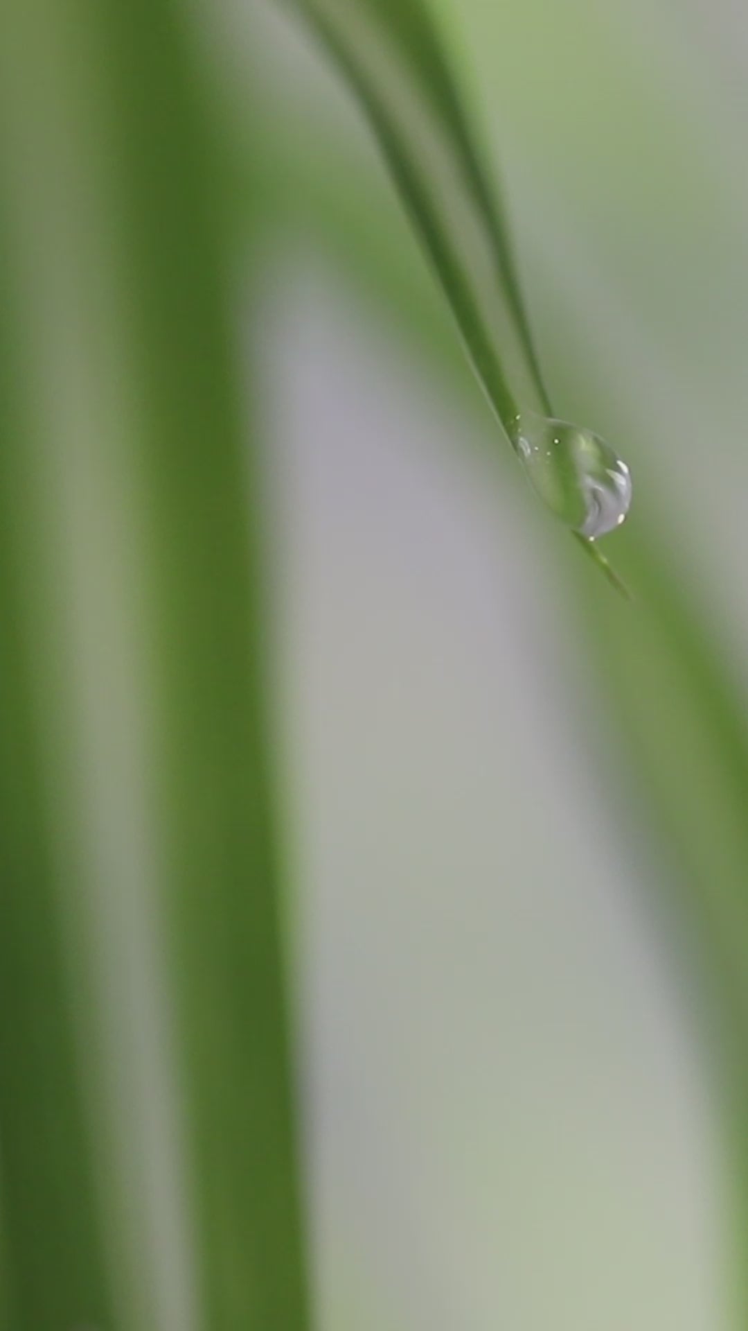 Droplet 14 inch