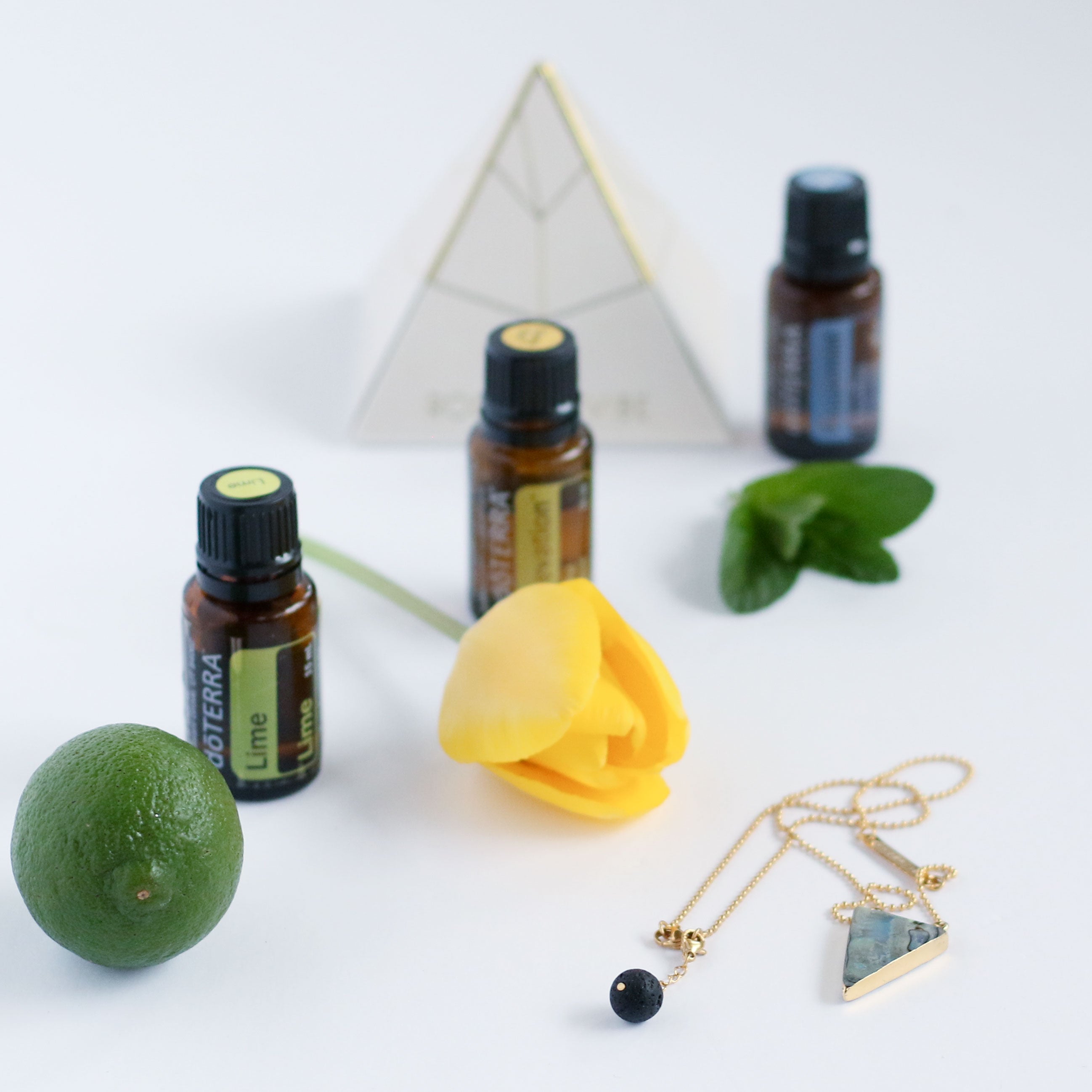 INTUIT DIFFUSER (EXTENDER) - Rocking Vibe